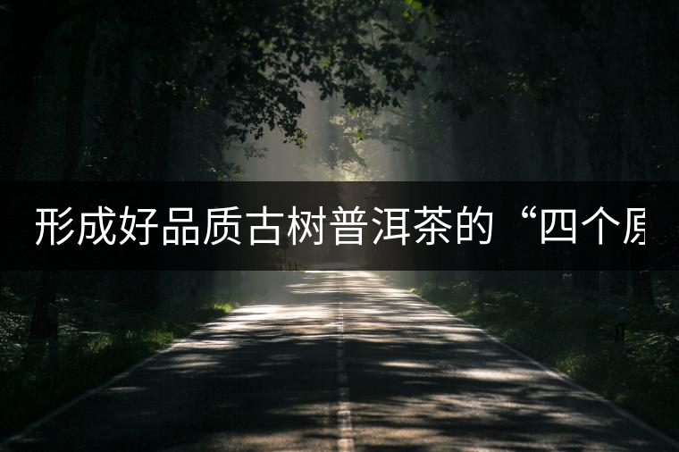 形成好品質(zhì)古樹(shù)普洱茶的“四個(gè)原則” 形成好品質(zhì)古樹(shù)普洱茶的“四個(gè)原則”