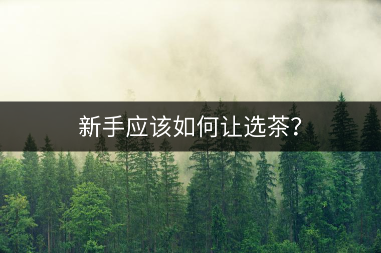 新手應(yīng)該如何讓選茶？