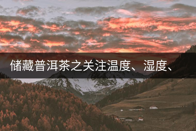 儲藏普洱茶之關注溫度、濕度、異味因素影響