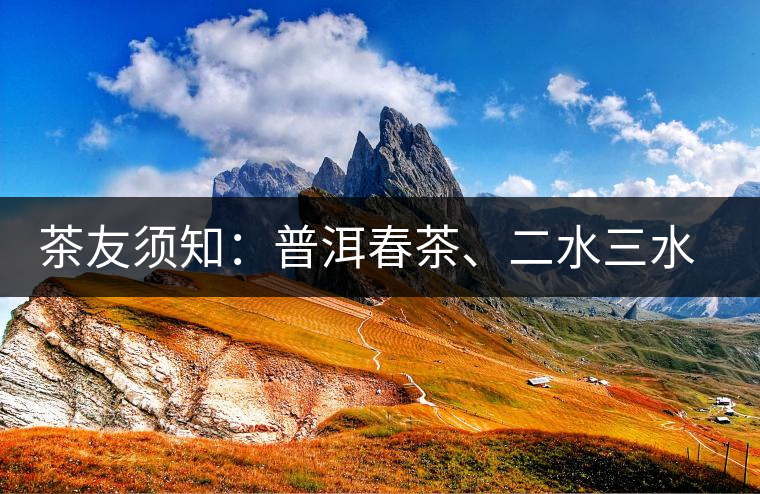 茶友須知：普洱春茶、二水三水茶和谷花茶