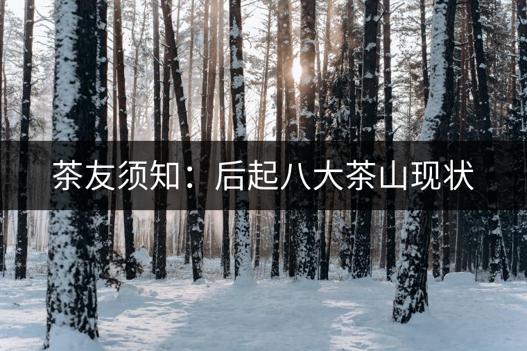 茶友須知：后起八大茶山現(xiàn)狀