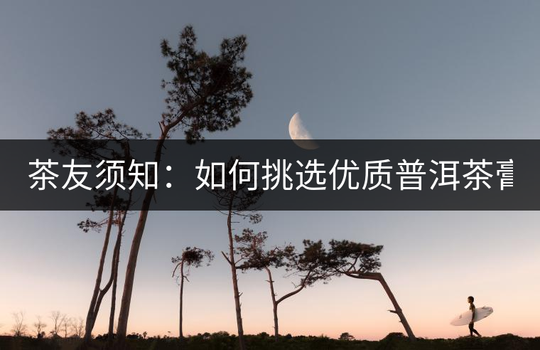 茶友須知：如何挑選優(yōu)質(zhì)普洱茶膏？