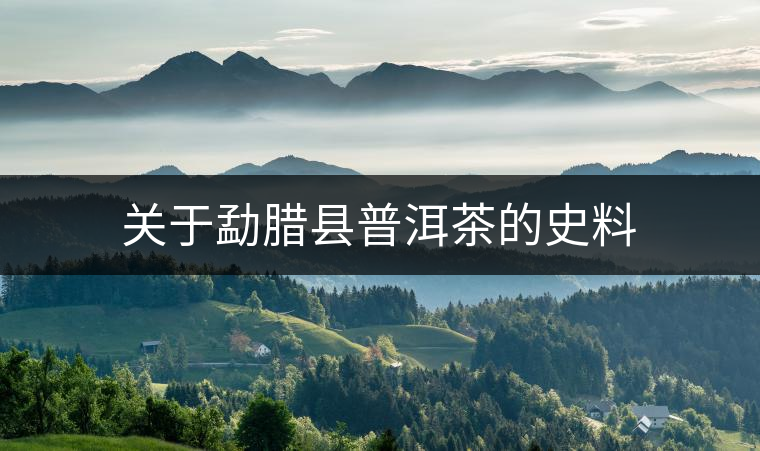 關(guān)于勐臘縣普洱茶的史料 關(guān)于勐臘縣普洱茶的史料