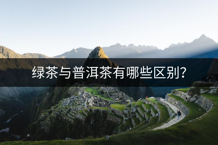 綠茶與普洱茶有哪些區(qū)別？