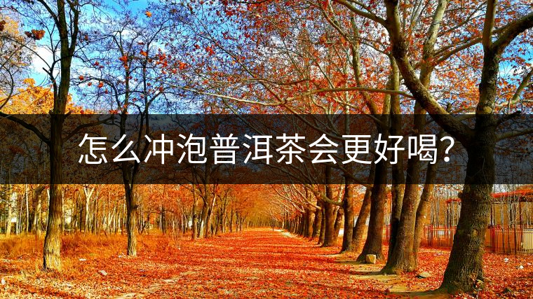 怎么沖泡普洱茶會更好喝？