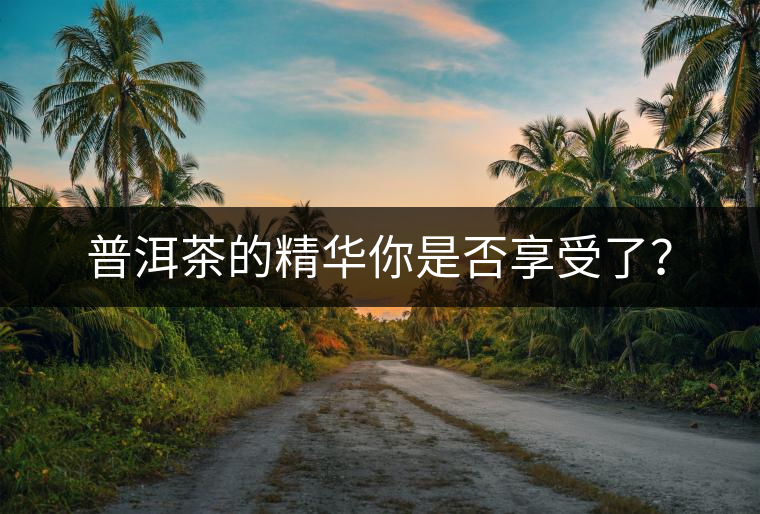 普洱茶的精華你是否享受了？