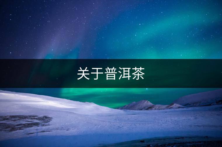 關于普洱茶