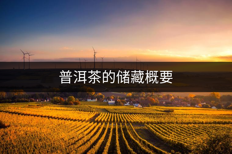 普洱茶的儲藏概要 普洱茶的儲藏概要