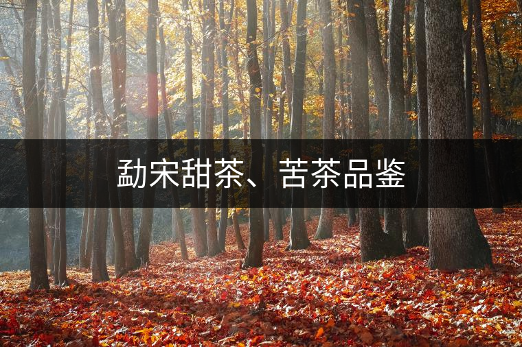 勐宋甜茶、苦茶品鑒