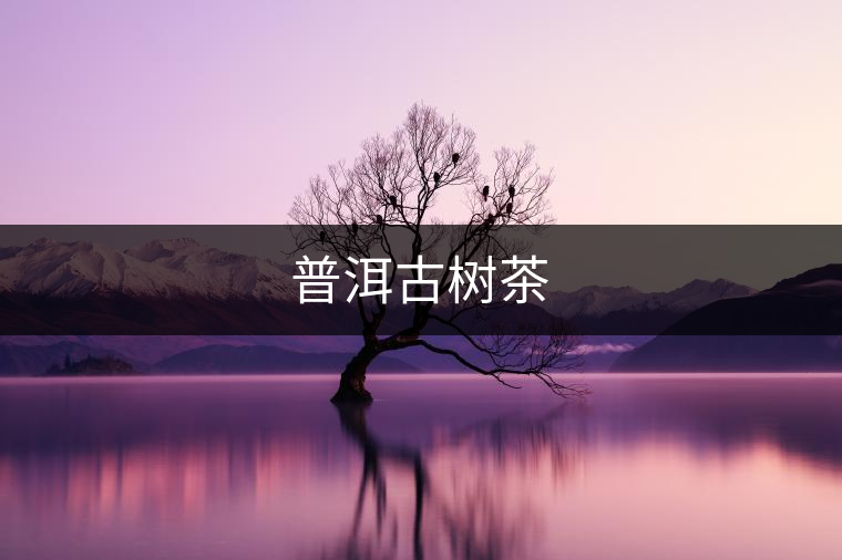 普洱古樹茶 普洱古樹茶