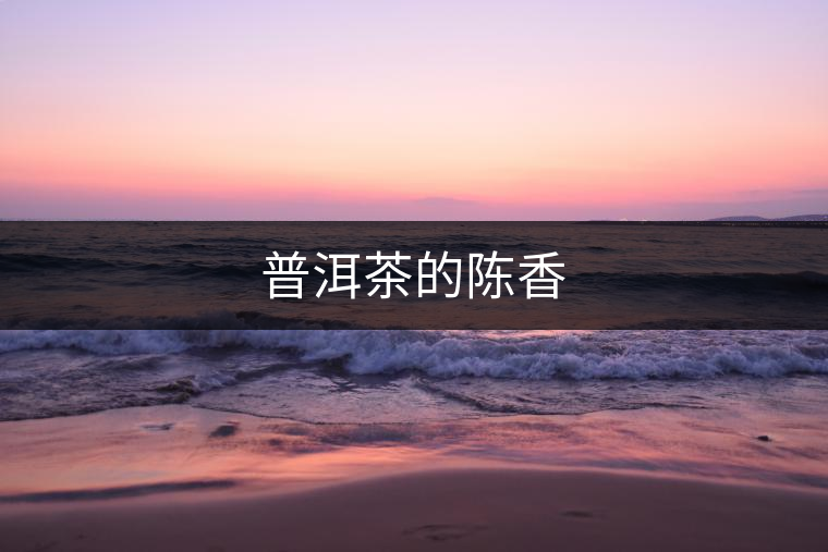 普洱茶的陳香 普洱茶的陳香