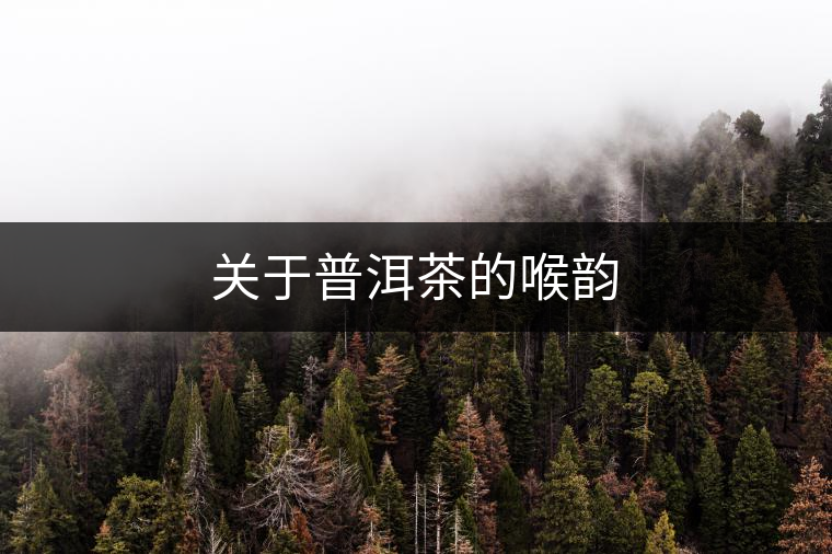 關(guān)于普洱茶的喉韻 關(guān)于普洱茶的喉韻