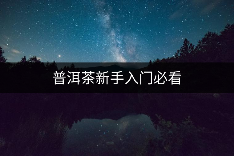 普洱茶新手入門(mén)必看