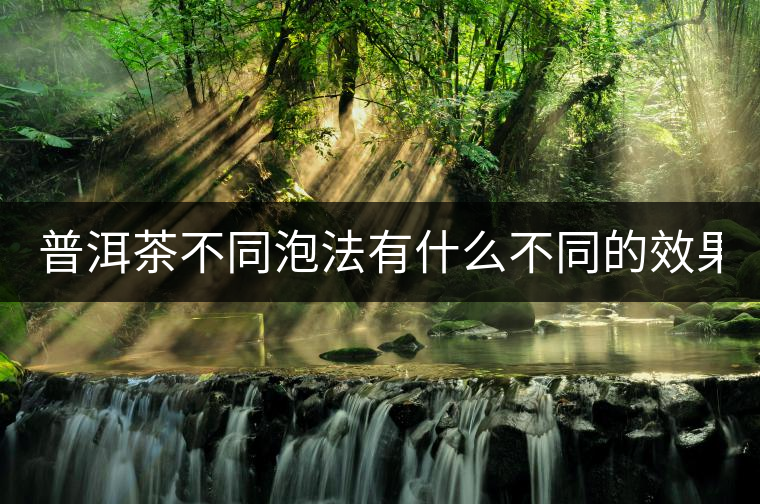 普洱茶不同泡法有什么不同的效果？