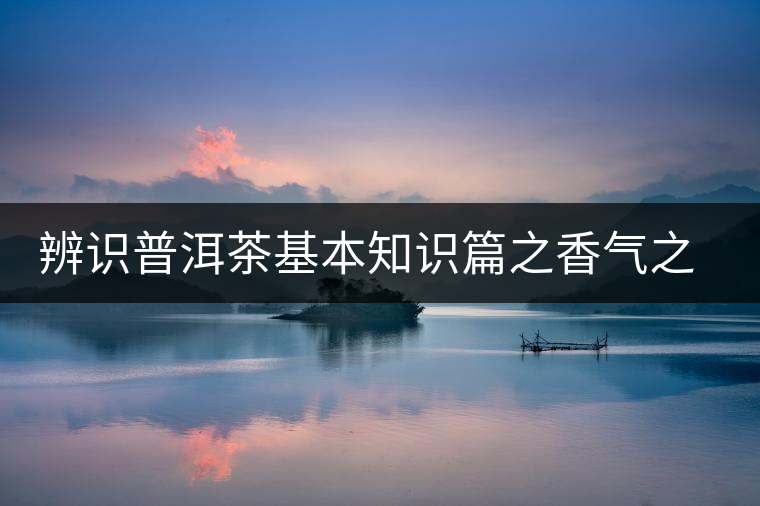 辨識普洱茶基本知識篇之香氣之辨 辨識普洱茶基本知識篇之香氣之辨