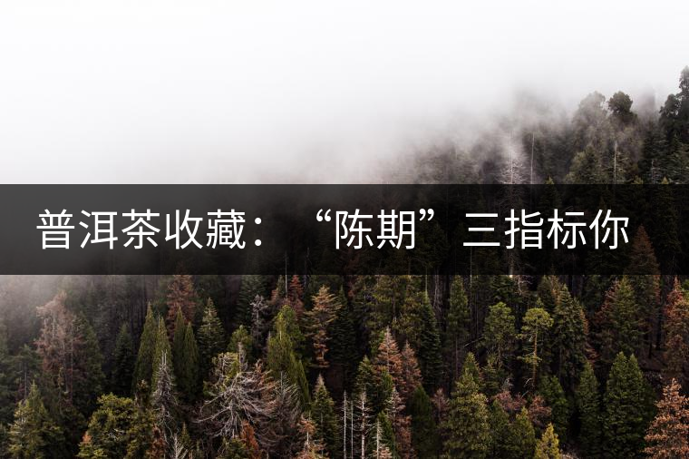 普洱茶收藏：“陳期”三指標你知道嗎？
