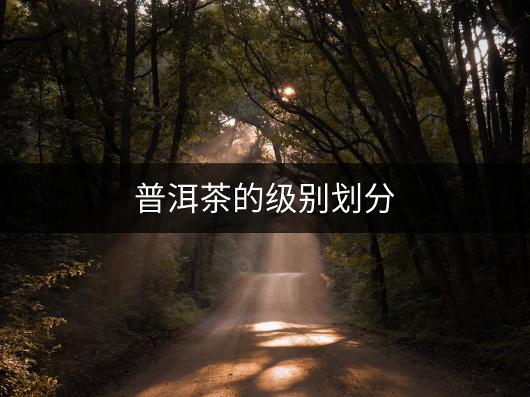 普洱茶的級別劃分 普洱茶的級別劃分