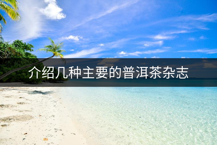 介紹幾種主要的普洱茶雜志