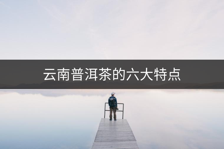 云南普洱茶的六大特點(diǎn) 云南普洱茶的六大特點(diǎn)
