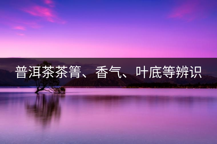 普洱茶茶箐、香氣、葉底等辨識(shí)