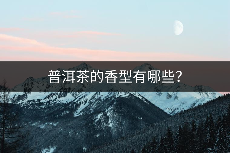 普洱茶的香型有哪些？