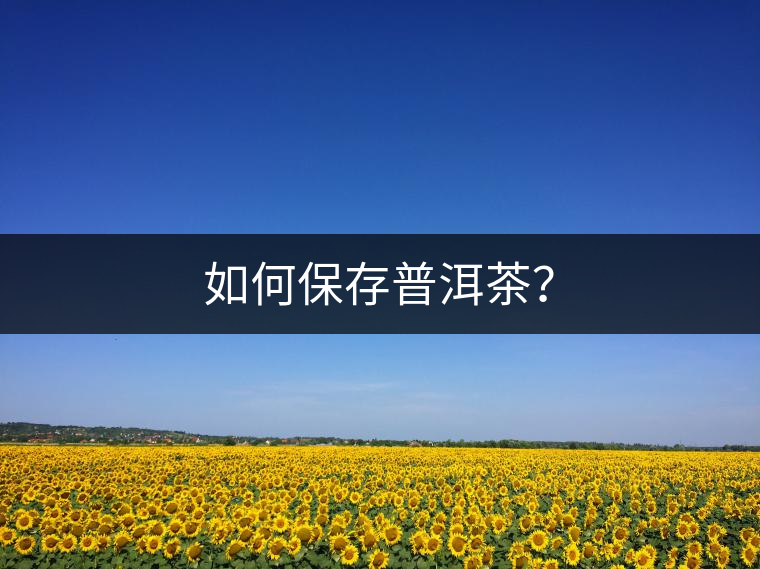 如何保存普洱茶？