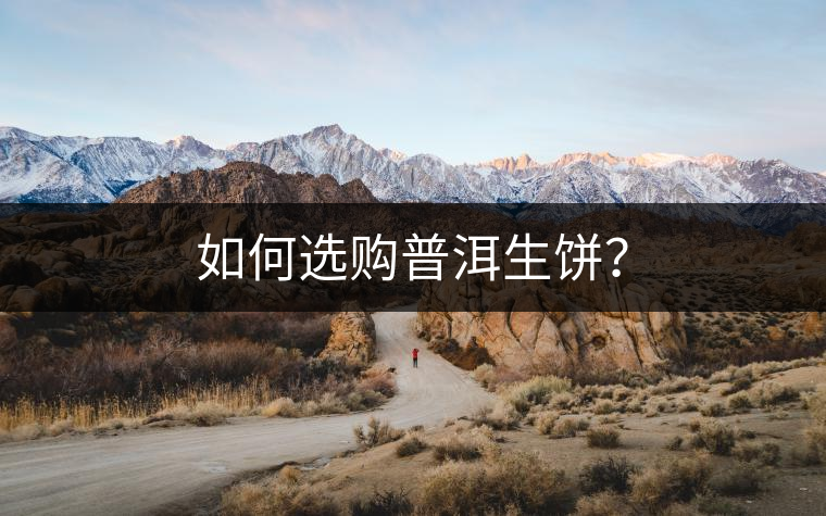 如何選購普洱生餅？