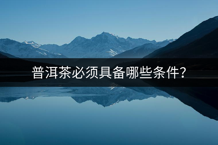 普洱茶必須具備哪些條件？