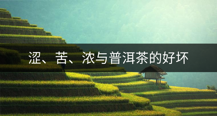 澀、苦、濃與普洱茶的好壞