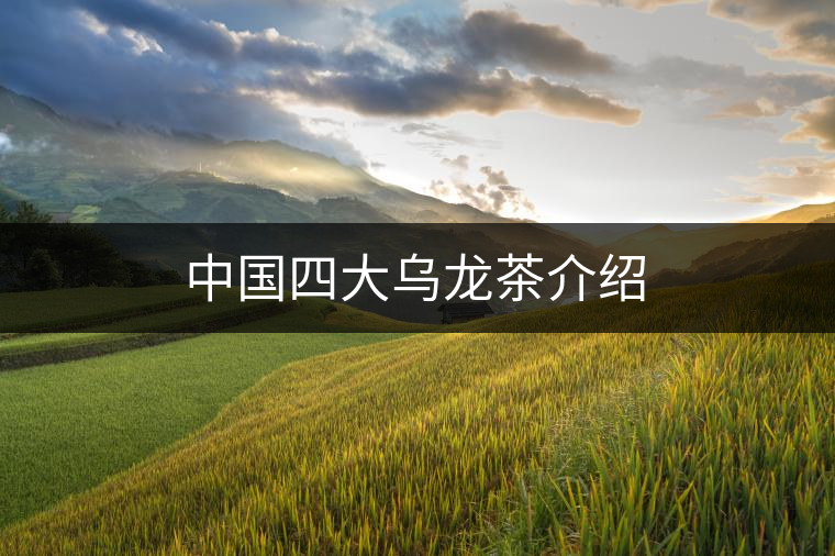 中國四大烏龍茶介紹