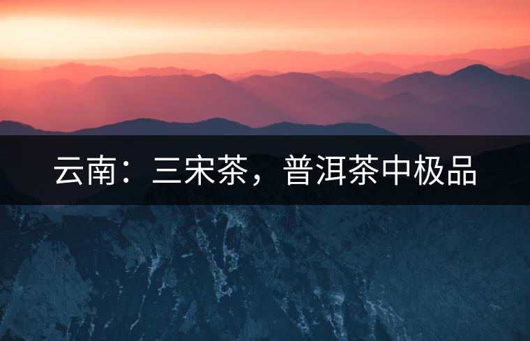 云南：三宋茶，普洱茶中極品
