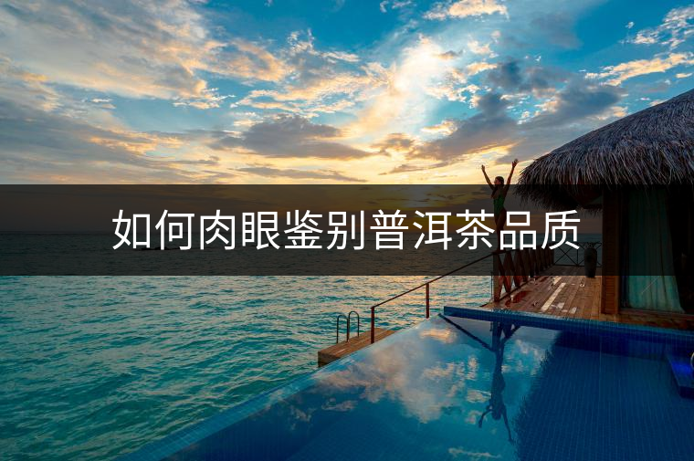 如何肉眼鑒別普洱茶品質 如何肉眼鑒別普洱茶品質