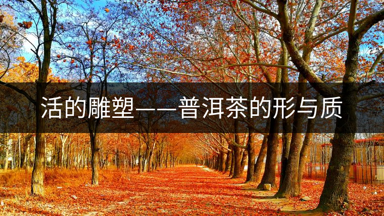 活的雕塑——普洱茶的形與質(zhì) 活的雕塑——普洱茶的形與質(zhì)
