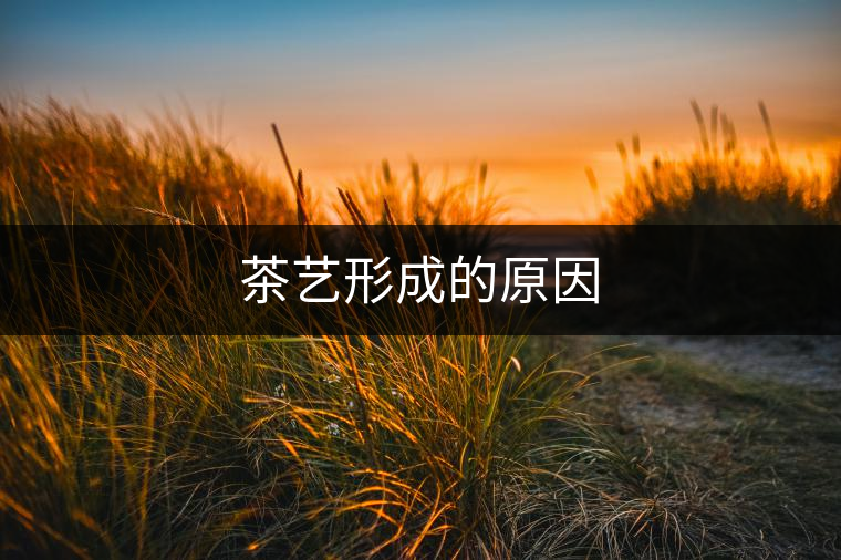 茶藝形成的原因