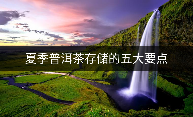 夏季普洱茶存儲的五大要點