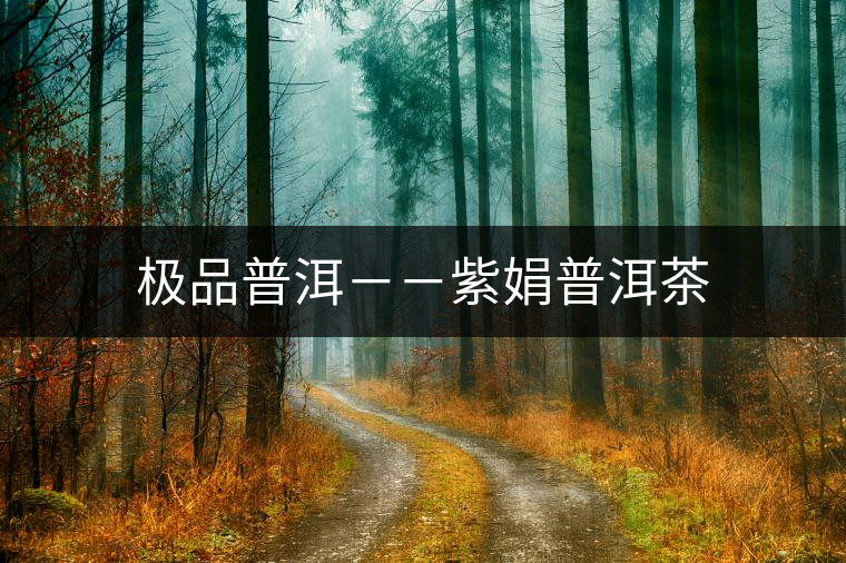 極品普洱--紫娟普洱茶 極品普洱--紫娟普洱茶