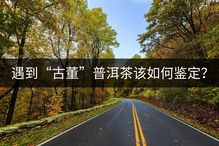 遇到“古董”普洱茶該如何鑒定？