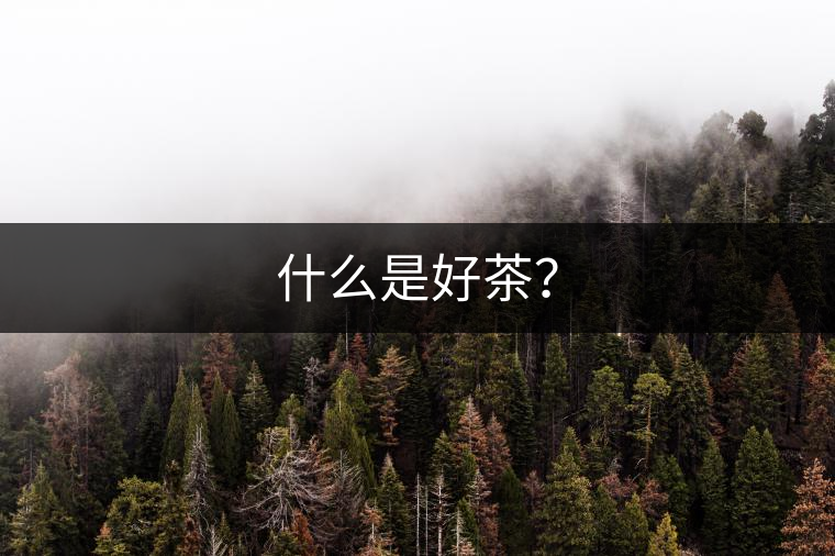 什么是好茶？