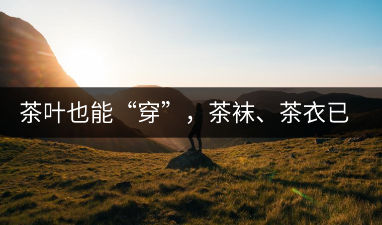 茶葉也能“穿”，茶襪、茶衣已進入研發(fā)階段