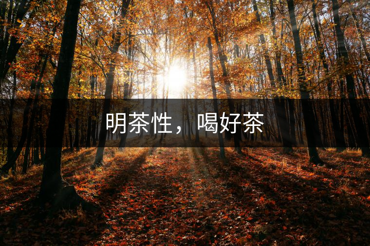 明茶性，喝好茶