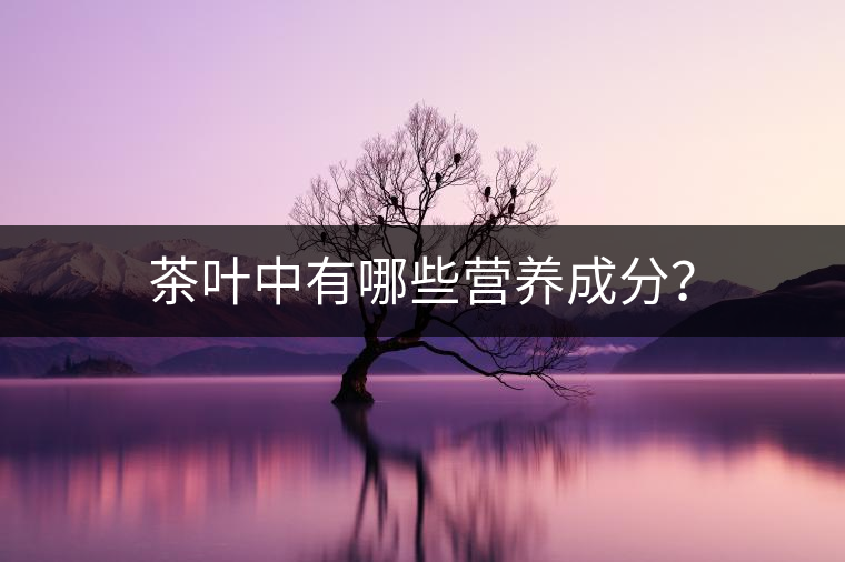 茶葉中有哪些營養(yǎng)成分？