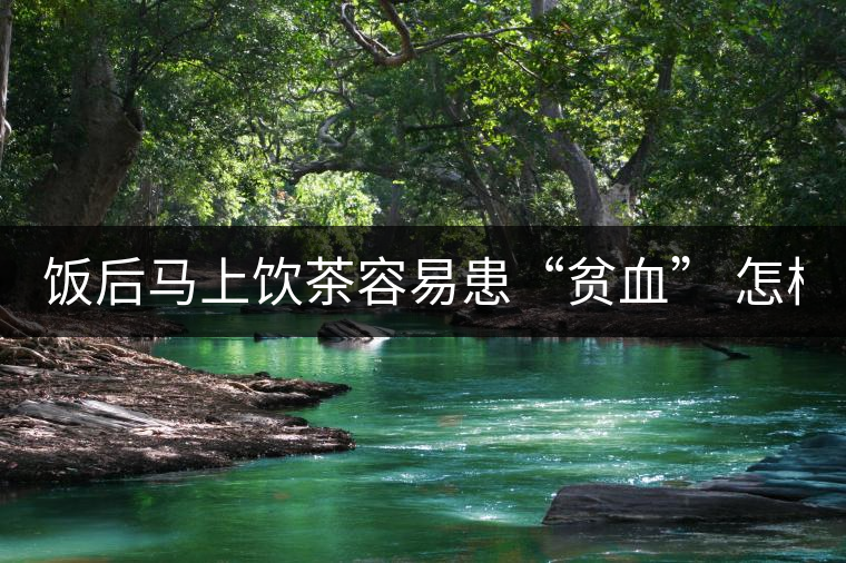 飯后馬上飲茶容易患“貧血” 怎樣飲用才合適 ？