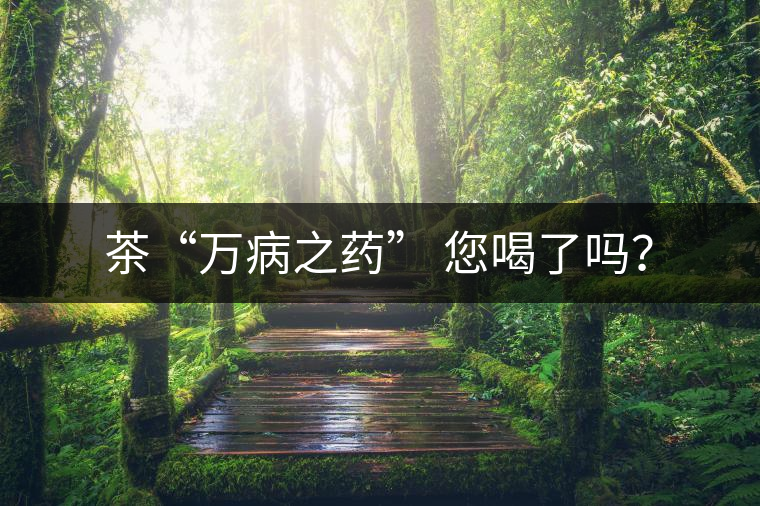 茶“萬(wàn)病之藥” 您喝了嗎？