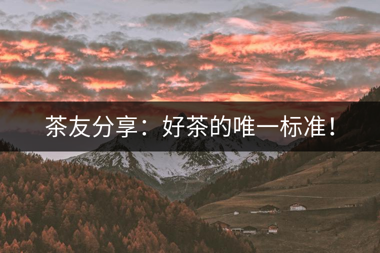 茶友分享：好茶的唯一標(biāo)準(zhǔn)！