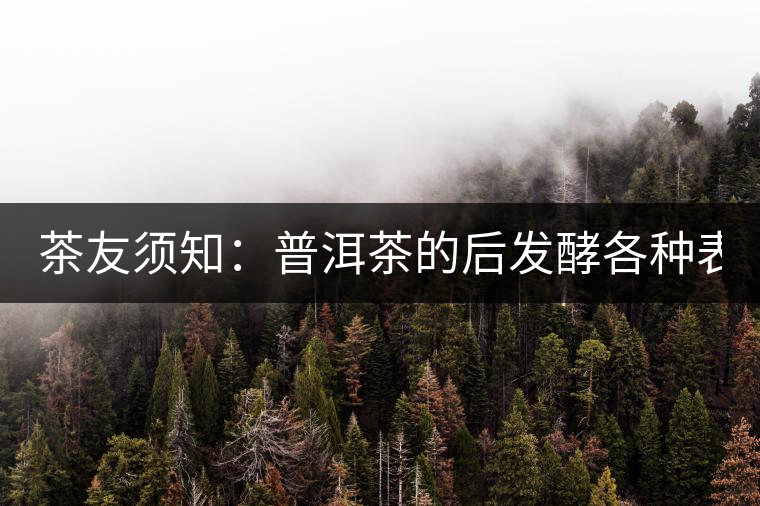 茶友須知：普洱茶的后發(fā)酵各種表現(xiàn) 喝普洱有益健康的奧妙所在！