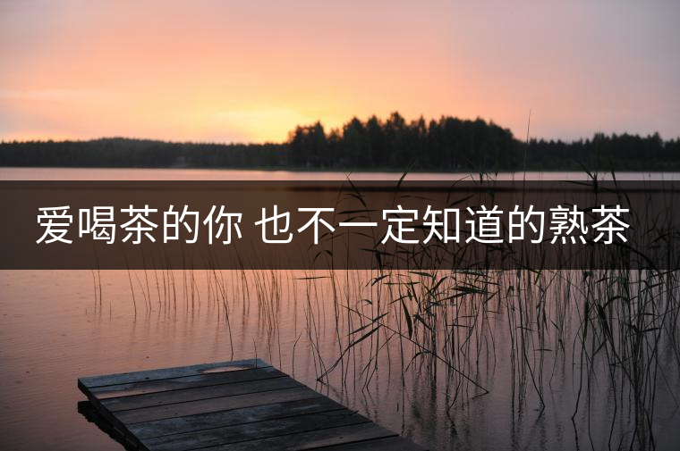 愛喝茶的你 也不一定知道的熟茶知識！