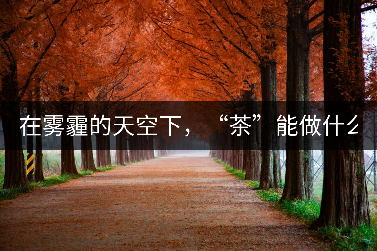 在霧霾的天空下，“茶”能做什么？