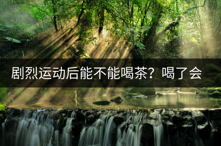 劇烈運動后能不能喝茶？喝了會有什么不適？