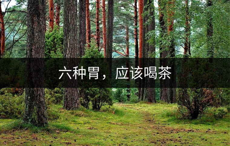 六種胃，應(yīng)該喝茶