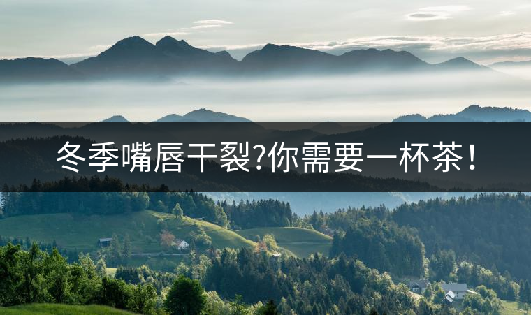 冬季嘴唇干裂?你需要一杯茶！